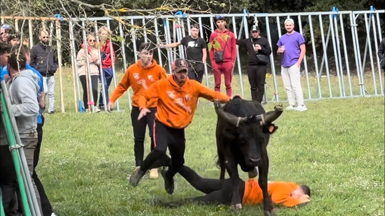 Concours d’attrapaire à POULX