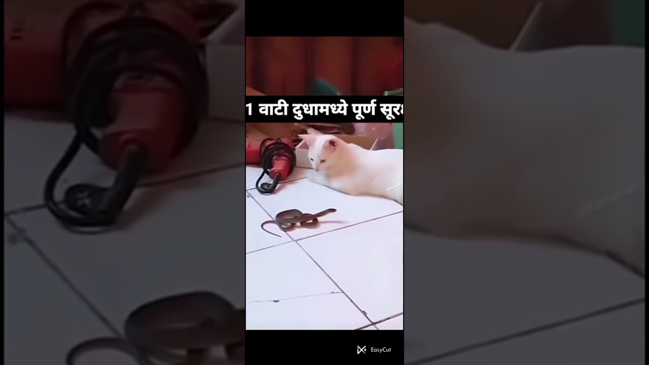 😱oo Bhai ye Kya huaa 