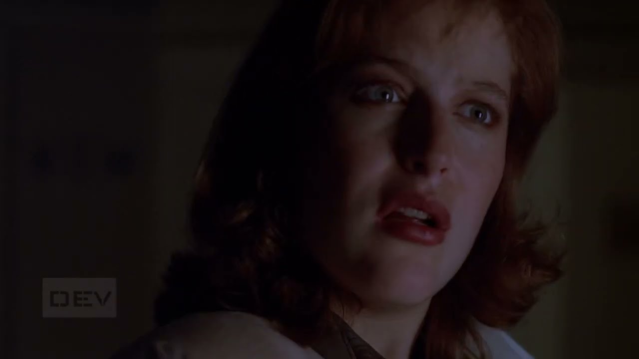 The X-Files &ndash; Duane Barry Kidnaps Scully (S2E5)
