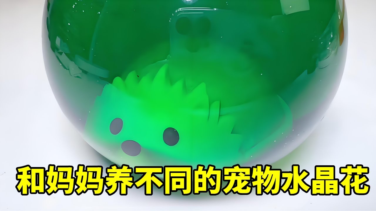 我和妈妈挑战养不同的水晶宠物花，黄金树水晶刺猬，种水晶有多神奇？ #种水晶 #玩一个很新的东西 #手工制作