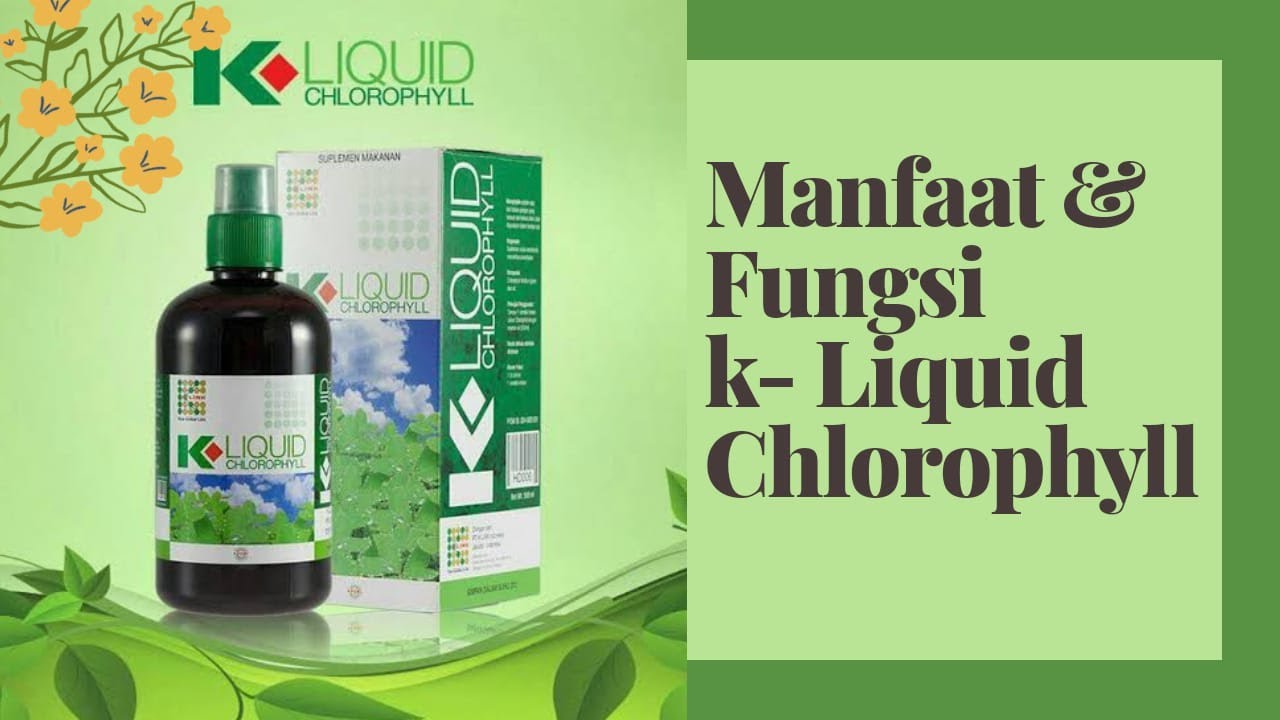 10 MANFAAT DAN FUNGSI K- LIQUID CHLOROPHYLL