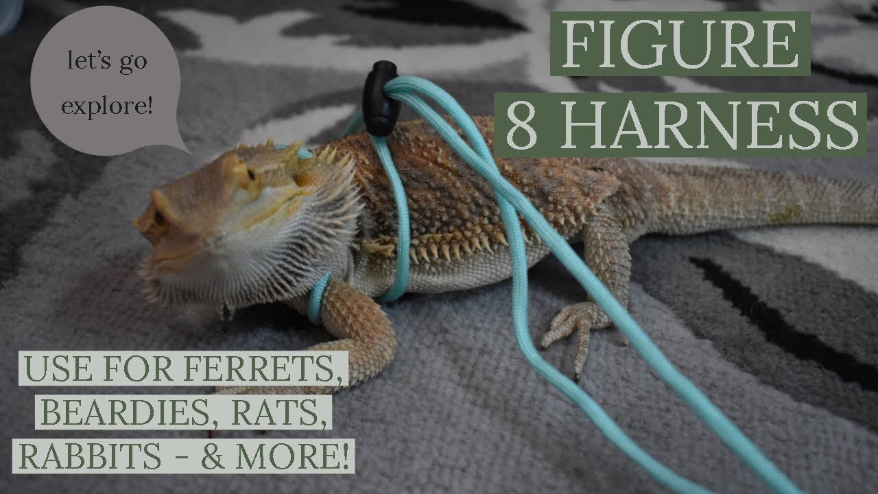 EASY AND CHEAP HARNESS! | Figure 8 Harness & Harness Review