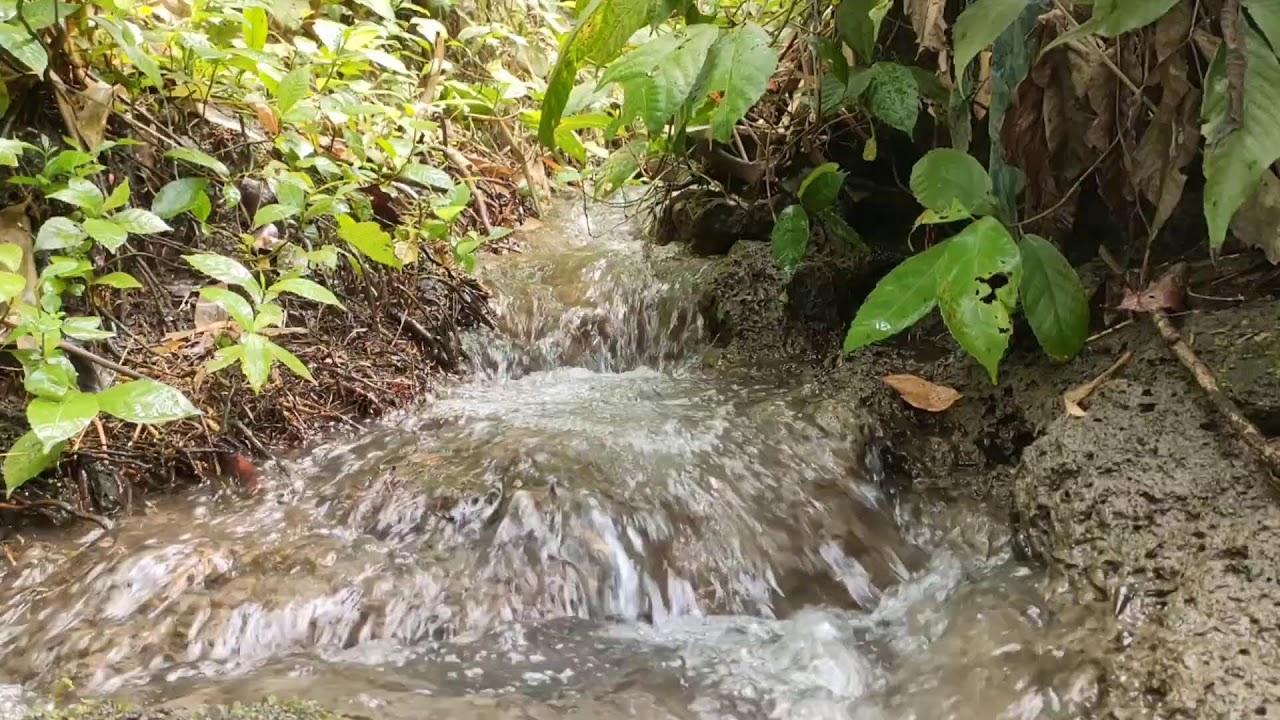 Healing River Ambience – Calm River Sounds with White Noise for Stress Relief