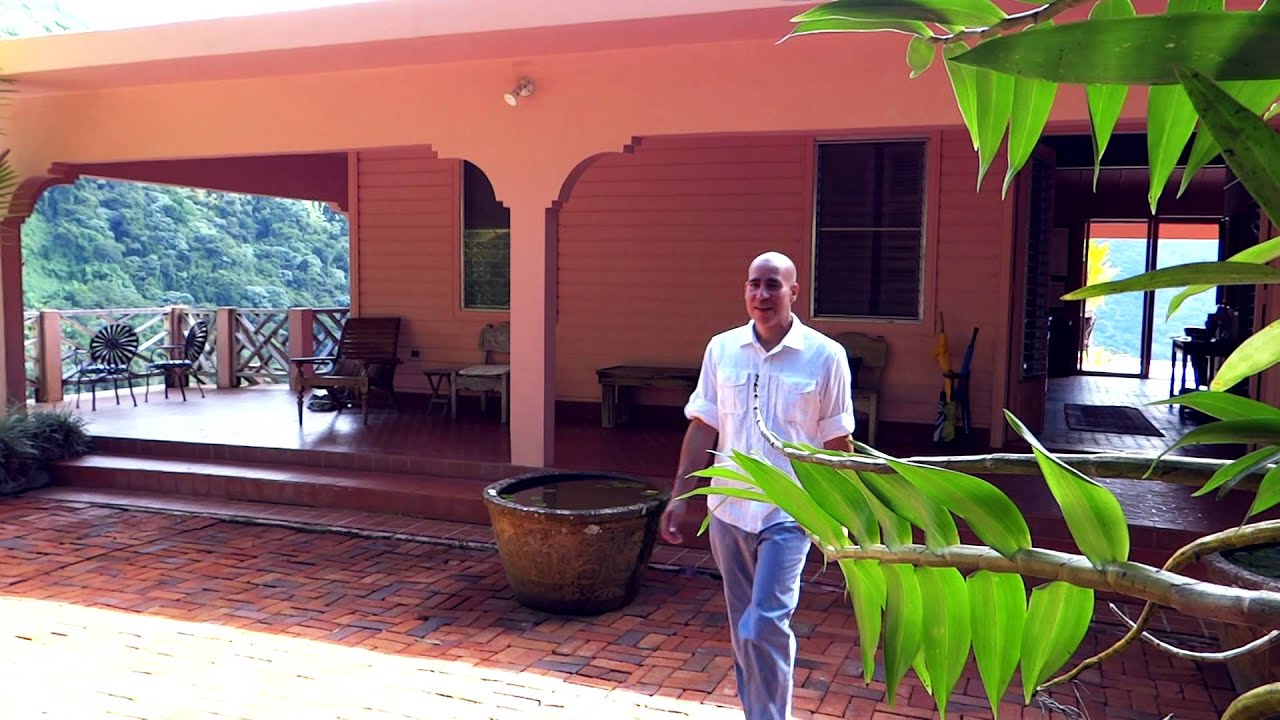 Storyteller - CASA FLAMBOYANT tropical paradise in Puerto Rico