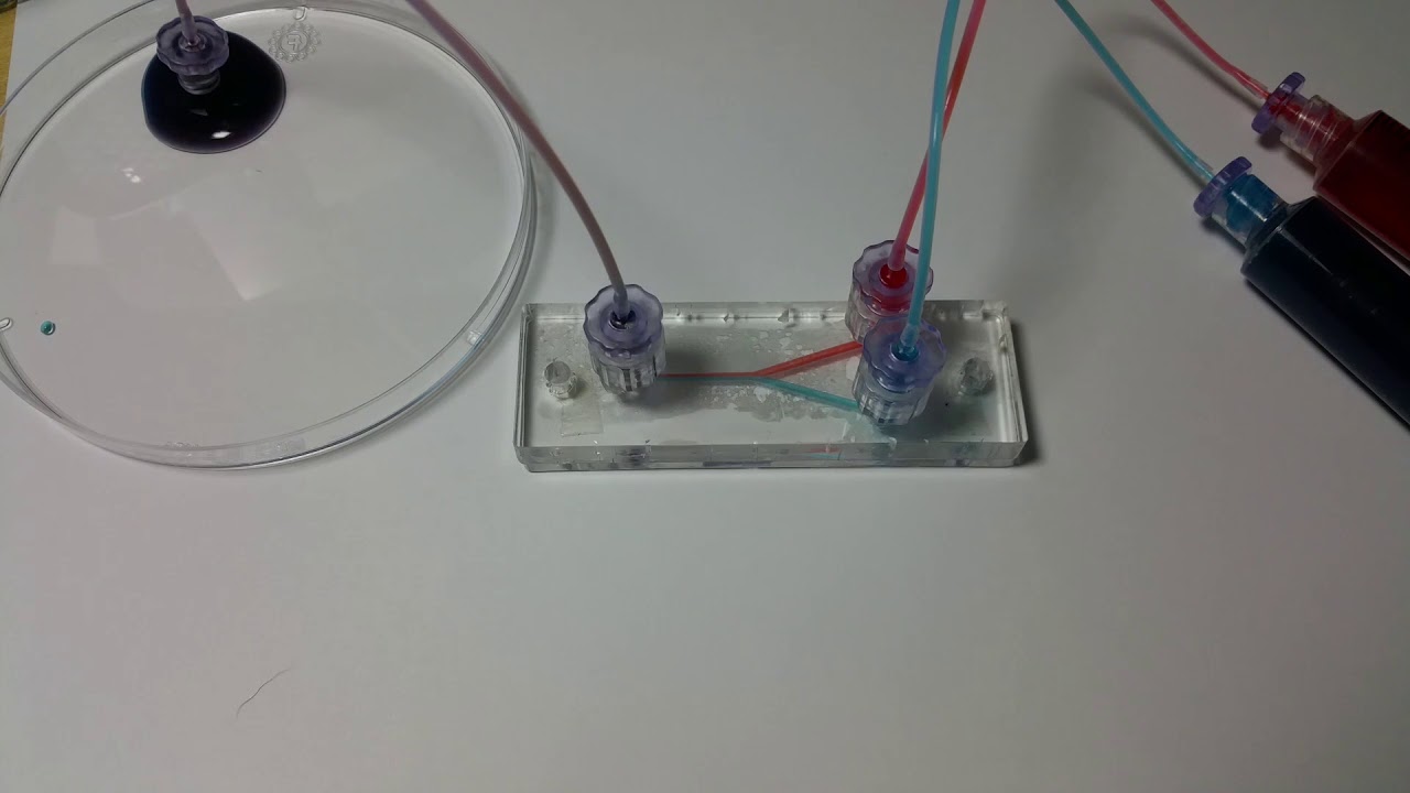Microfluidic Flow Testing (Thermally Bonded PMMA/Acrylic)