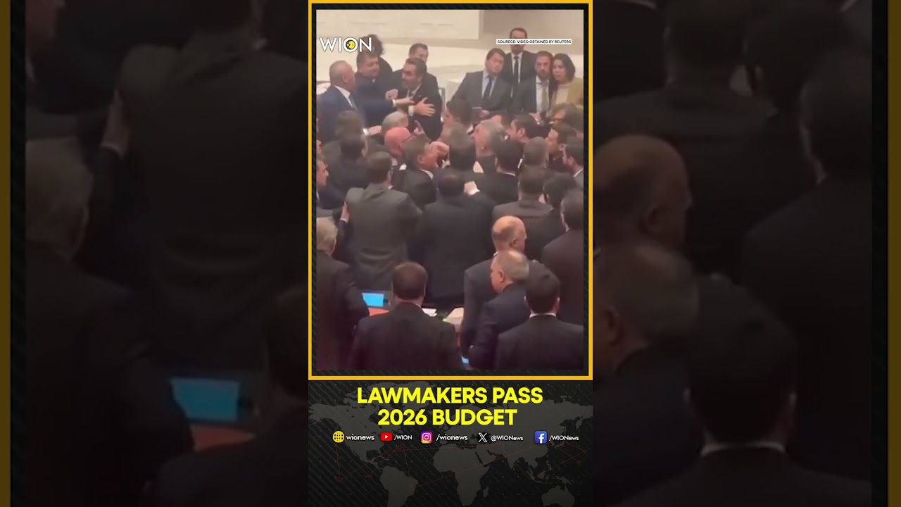 Turkey Parliament Unrest: Brawl Erupts in Turkey Parliament During Budget Talks, 2026 Budget Passed