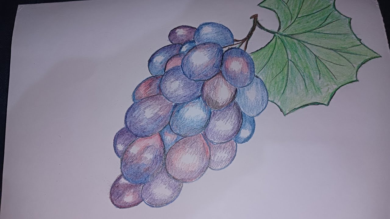 How to draw grapes🍇, easy step by step fruit drawing tutorial.
