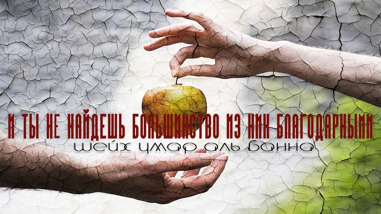 Умар Аль Банна - И ты не найдешь большинство из них благодарными