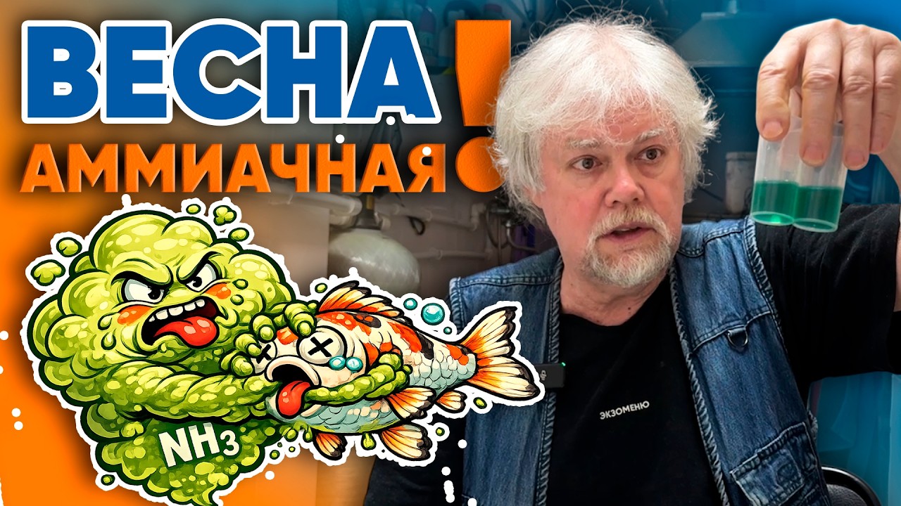 Аквариумные истории из ЭКЗОМЕНЮ (13.03.2026). Весна аммиачная!