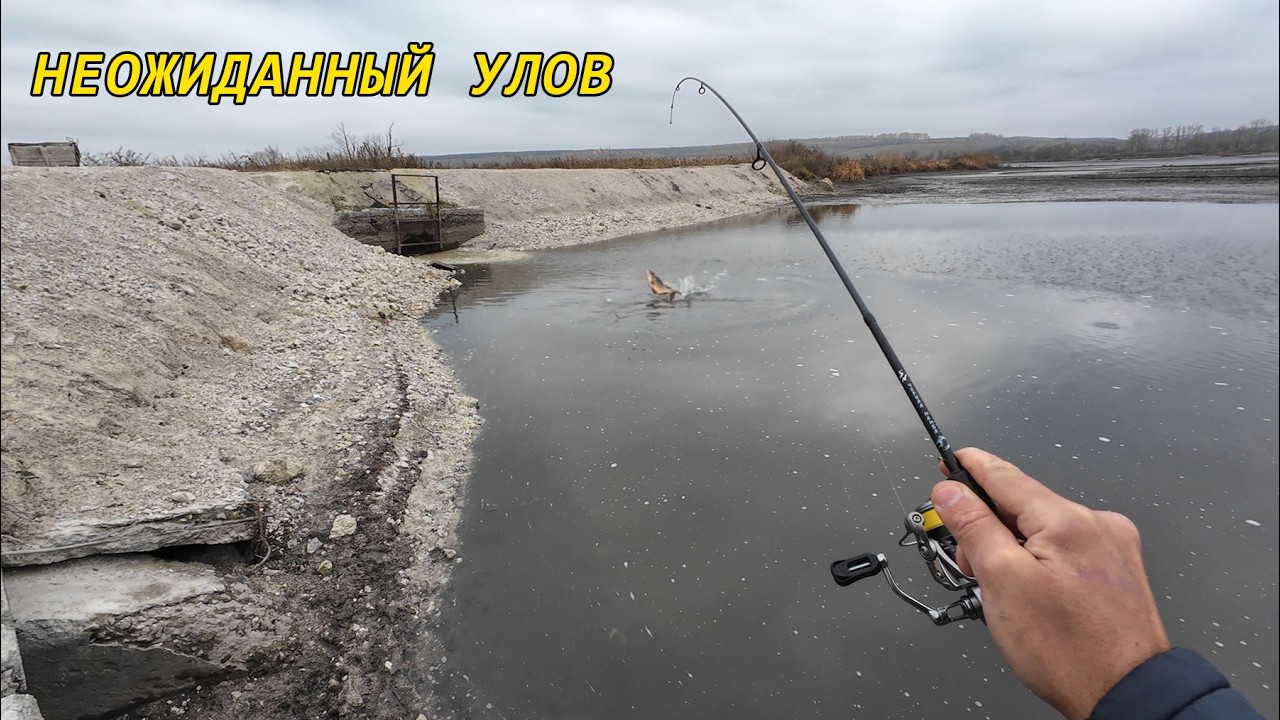 Мормышка! Таких РЫБ я ещё не ловил! Рыбалка на мормо на реке