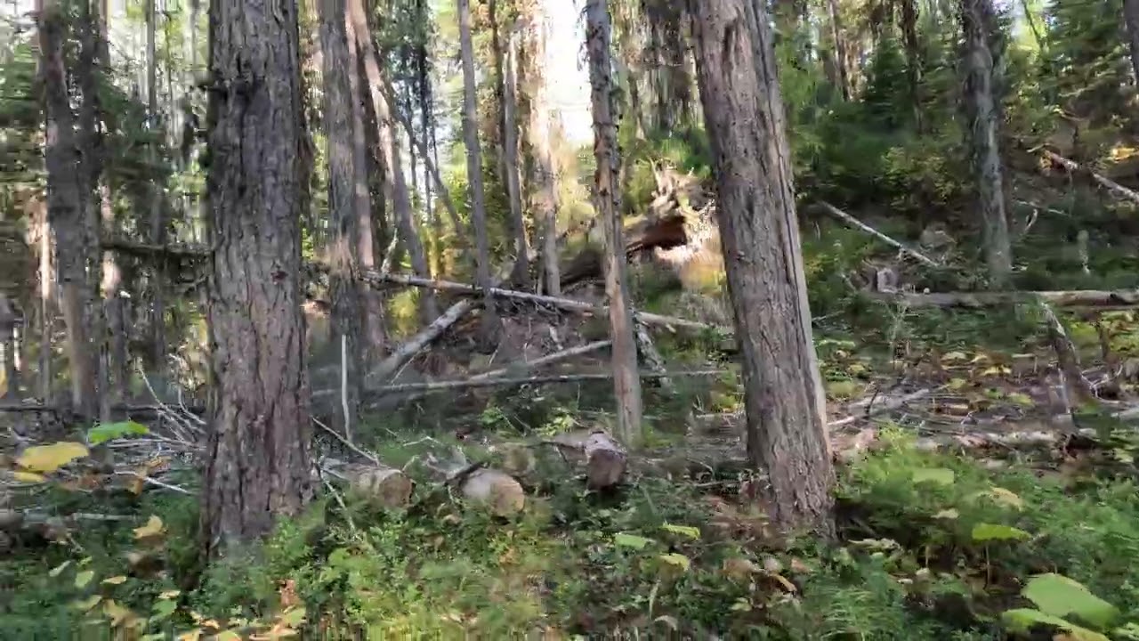 Hike With Me Ep 8