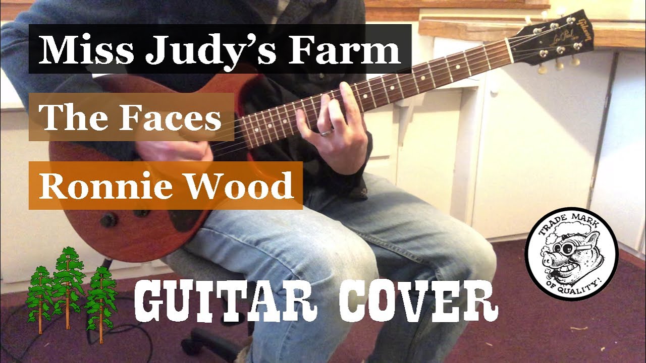 Miss Judy's Farm - Faces - Guitar Cover