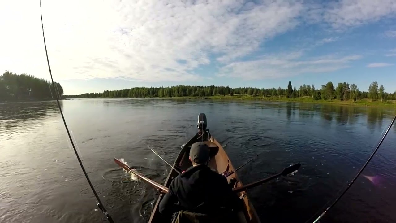 Tornionjoki Lohenkalastus kausi 2021 Tärpit!