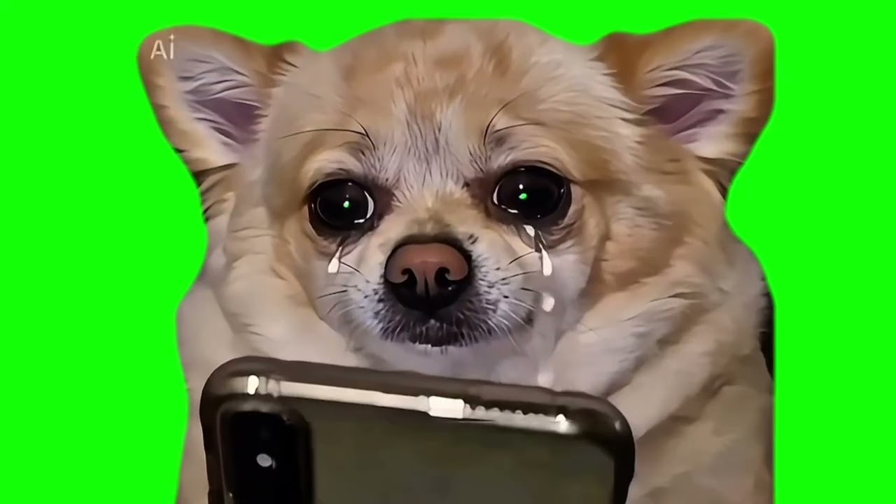 Crying dog with a phone  Green Screen Meme