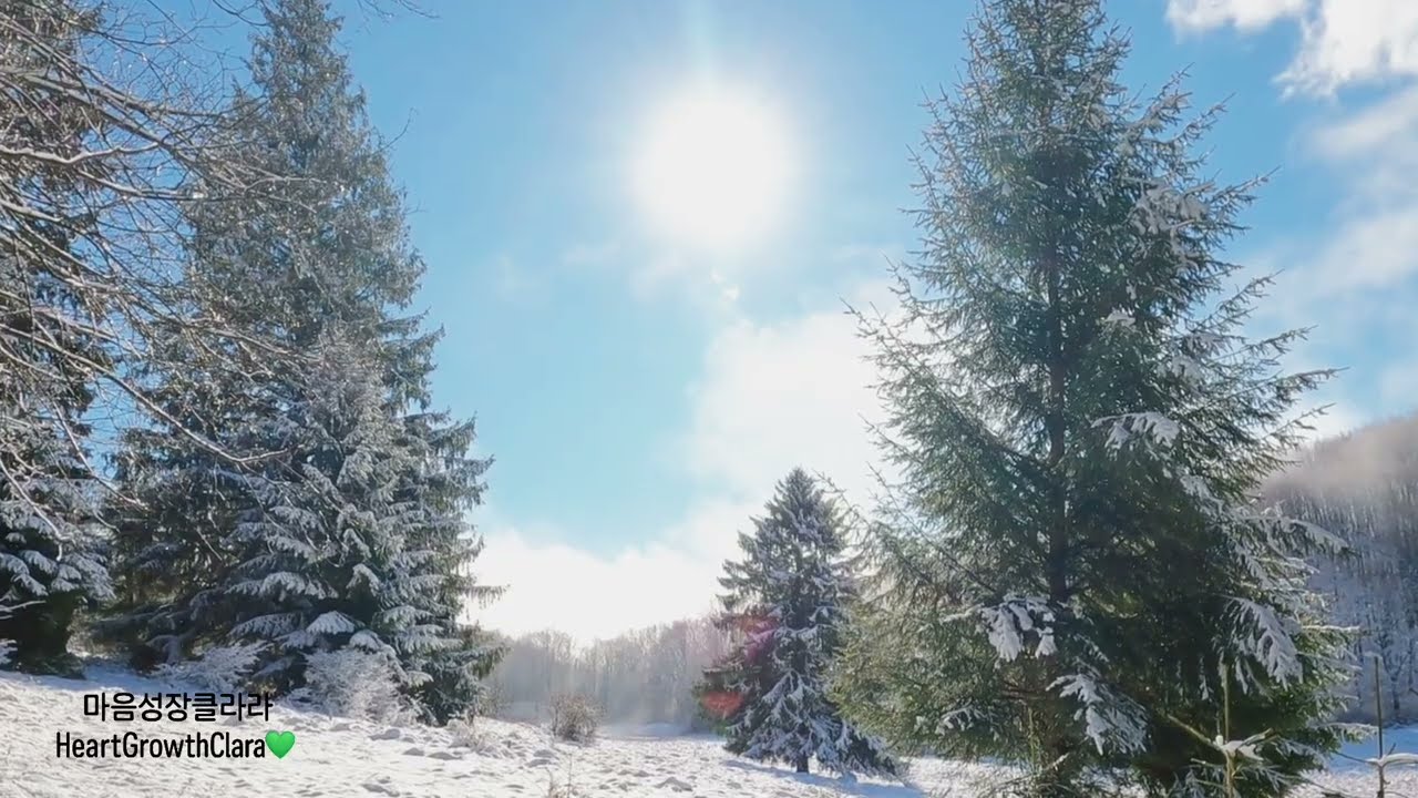 조용한 오후에 듣는 따뜻한 트로트 힐링 45분💚 | Gentle Trot Healing Music for the Afternoon 45min💚