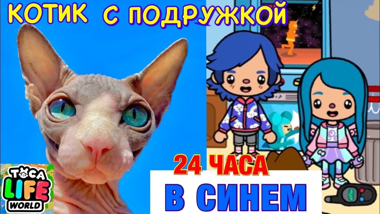 24 ЧАСА В СИНЕМ ЦВЕТЕ БОГАТЫЙ КОТ МИЛЛИОН ЖИВЁТ ВМЕСТЕ с ПОДРУЖКОЙ в ТОКА БОКА 😻 Toca Life World