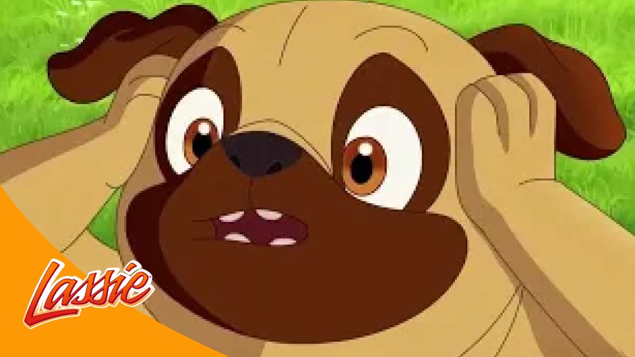 🦅 Lassie Saves an Injured Bird and More Cartoons for Kids | Lassie Episode Compilation