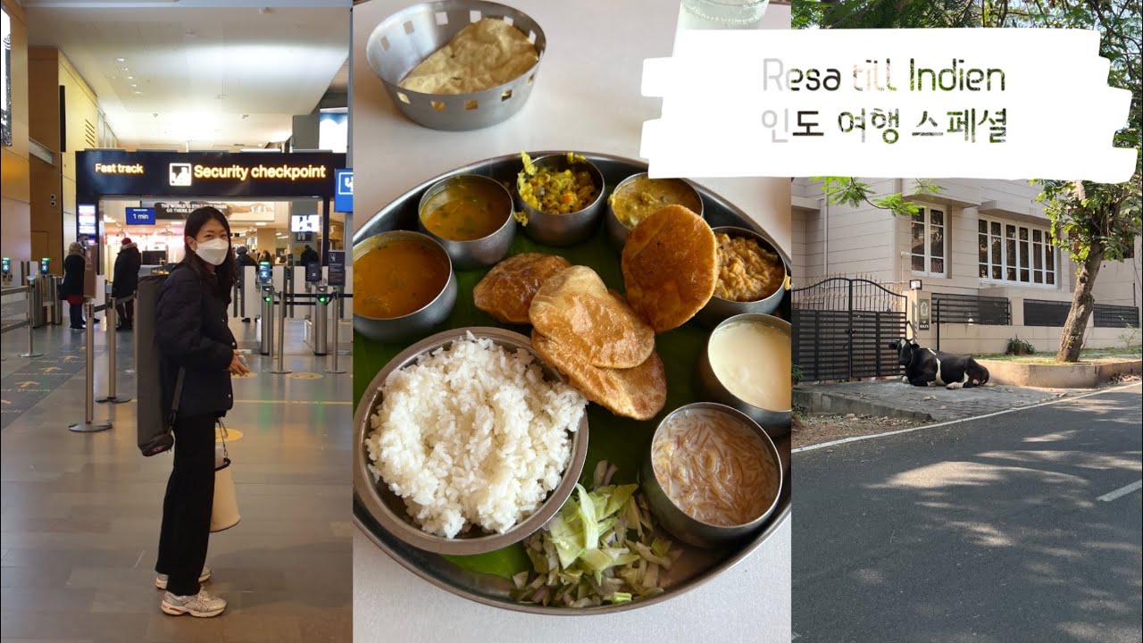 [eng] VLOG | 인도 생활 브이로그 🇮🇳 | 랜선 여행 ✈️ | 저 인도 왔어요! | Trip to India 🧳