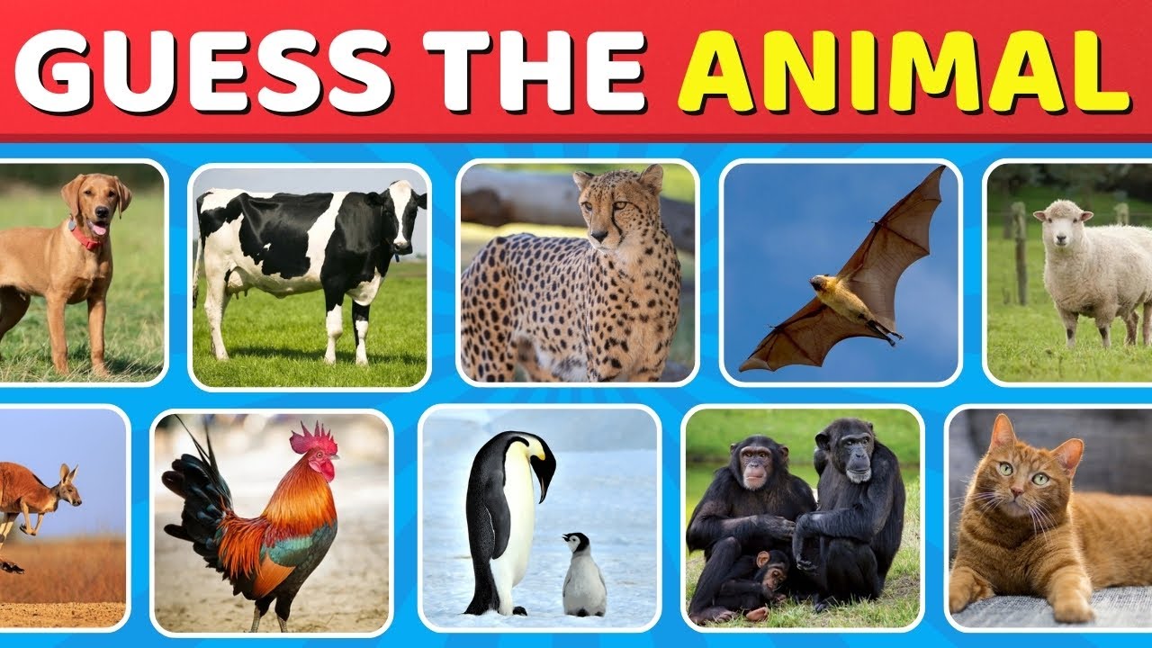 Guess 120 Animals in 3 Seconds