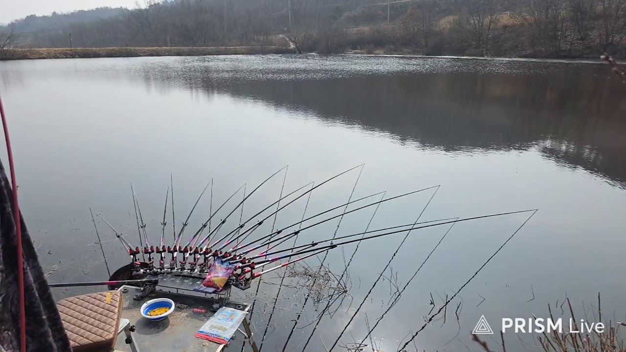 경북의성 월척붕어 구경하러 오세요 시즌 스타트 #붕어낚시
