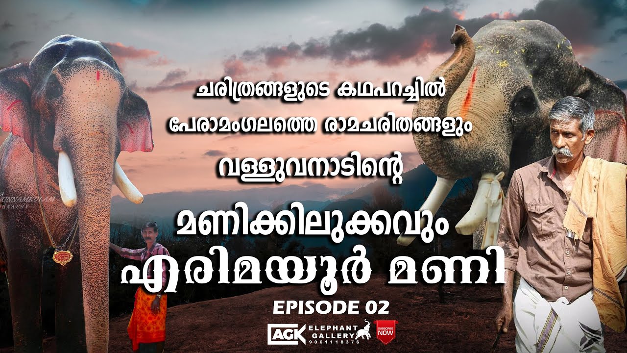 18 കൊല്ലം നീണ്ടുനിന്ന ആത്മബന്ധം |എരിമയ്യൂർ മണി|തെച്ചിക്കോട്ടുകാവ് രാമചന്ദ്രൻ|EPISODE 02