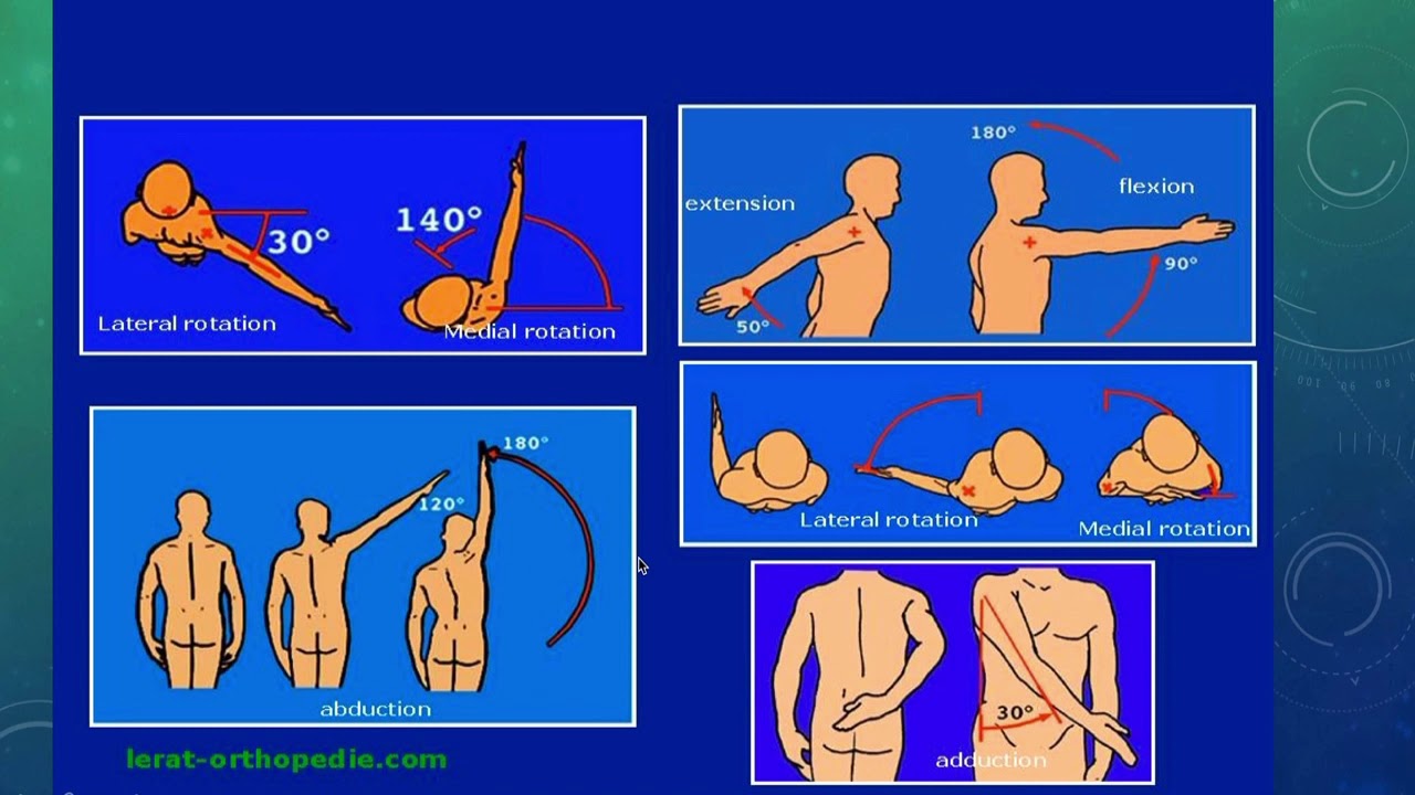 Sémiologie traumatologique - 1er cours : Examen de l’épaule