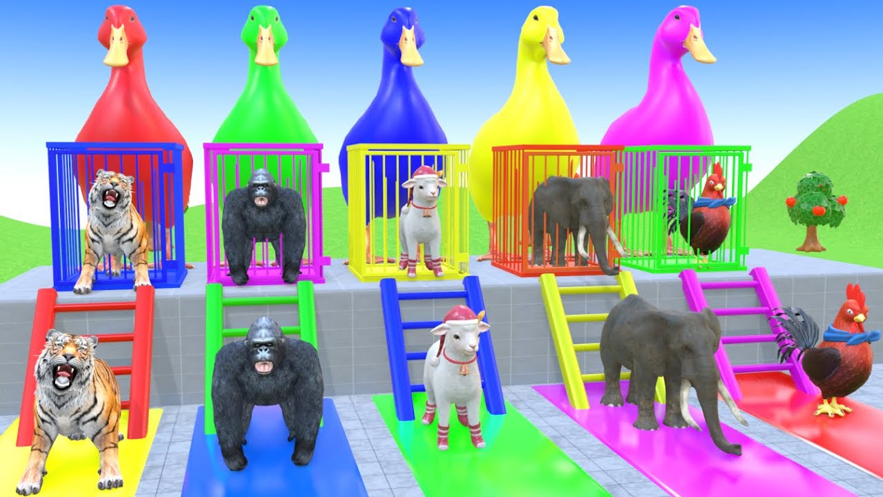 Long Slide Game With Cow Elephant Gorilla Hippopotamus Tiger 3d Animal Game Funny 3d Animals