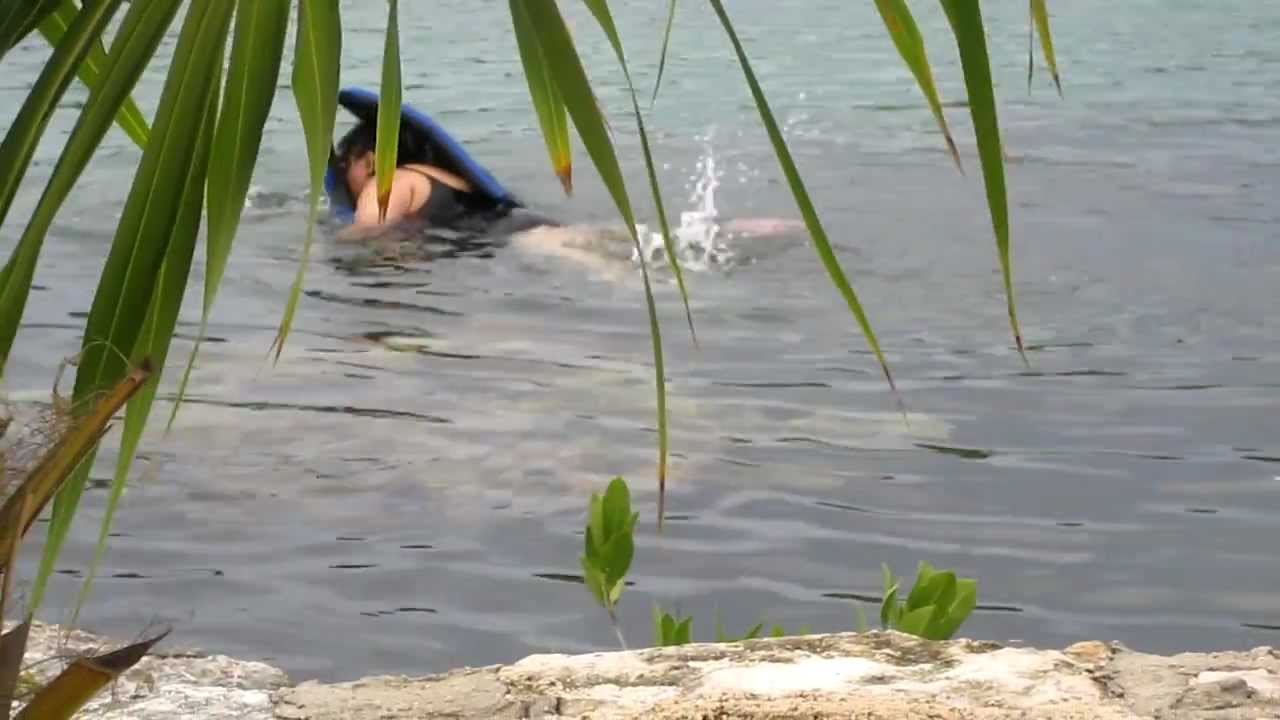 Rare kind of sea Cow discoverd in Xel-Ha...