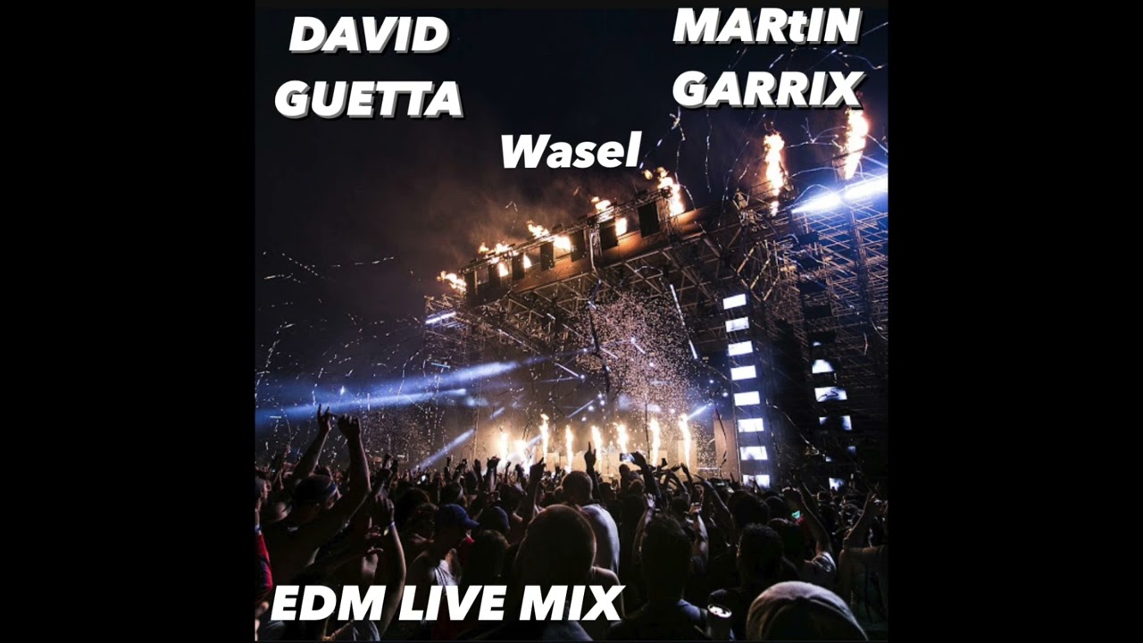 DAVID GUETTA/MARTIN GARRIX/WASEL /EDM LATIN