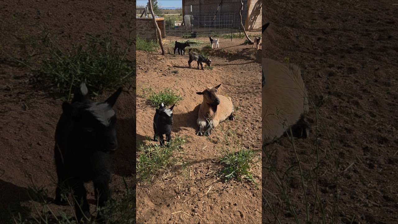 Бабушка Мэй ❤️ #бабушка #милая #очаровательная