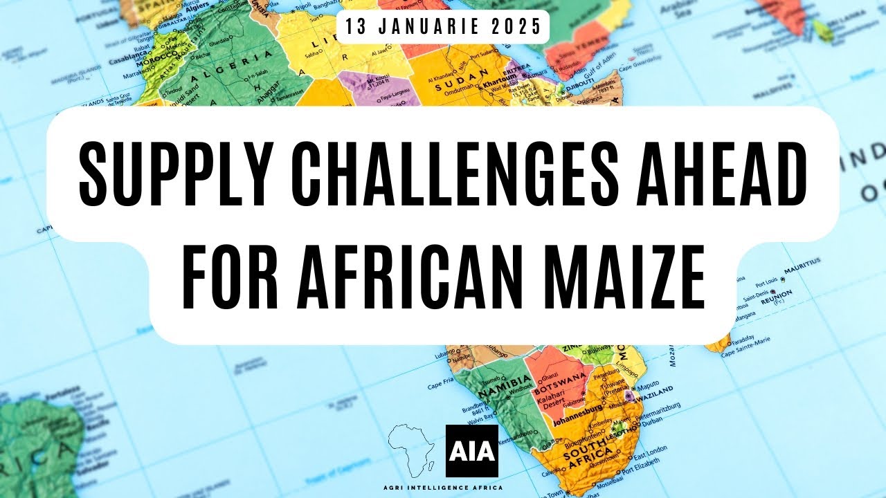 Supply Challenges Ahead For African Maize - 13 Jan 2025