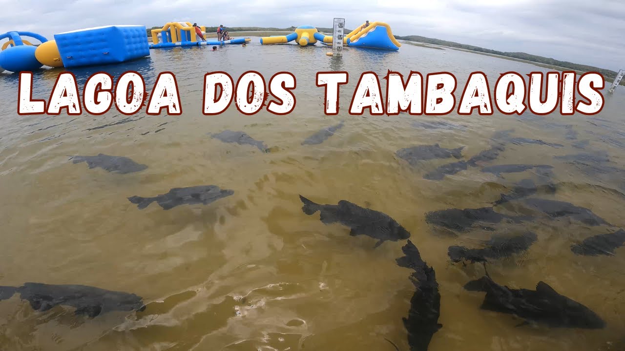 LAGOA DOS TAMBAQUIS EM SERGIPE VALE A PENA? | VARIOS ATRATIVOS