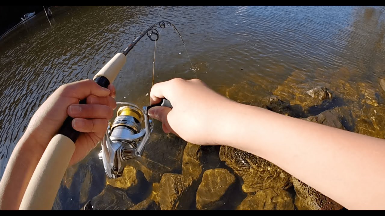 Apple Tree Bay Fishing On Mini Rod