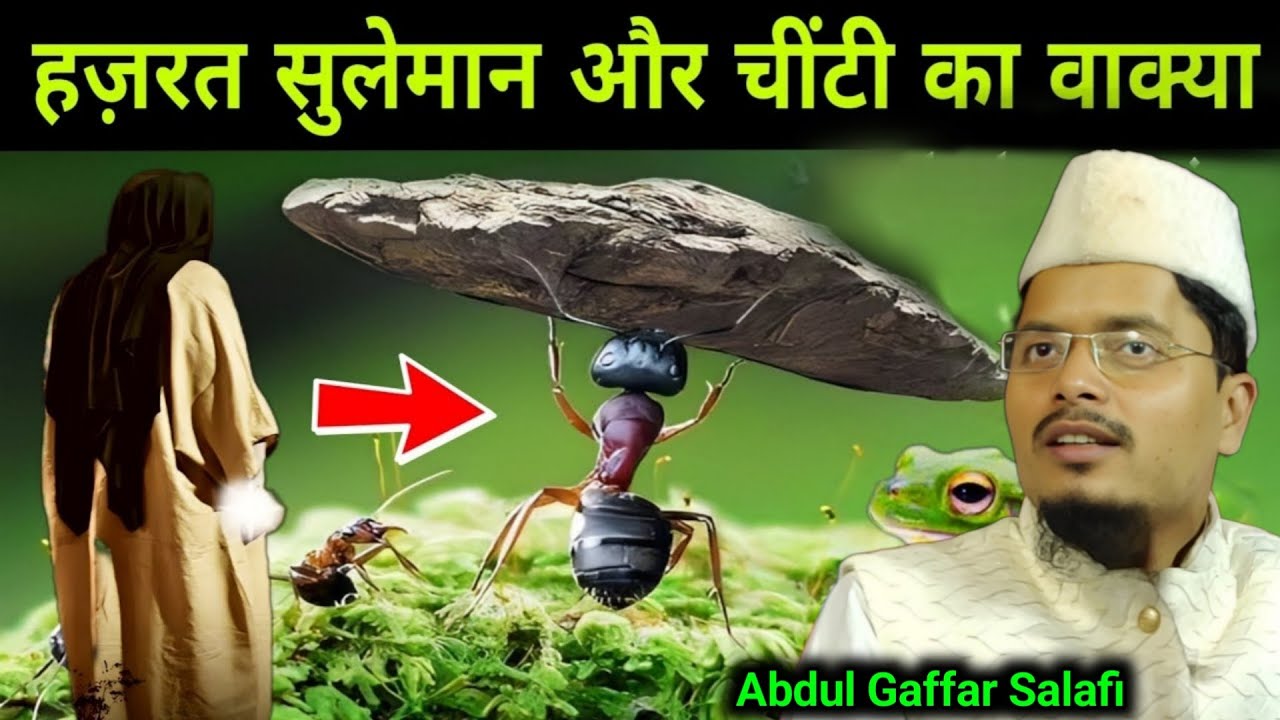 Hazrat Suleman AS Aur Chinti Ka Waqia | Abdul Gaffar Salafi Ki Naya Takrir