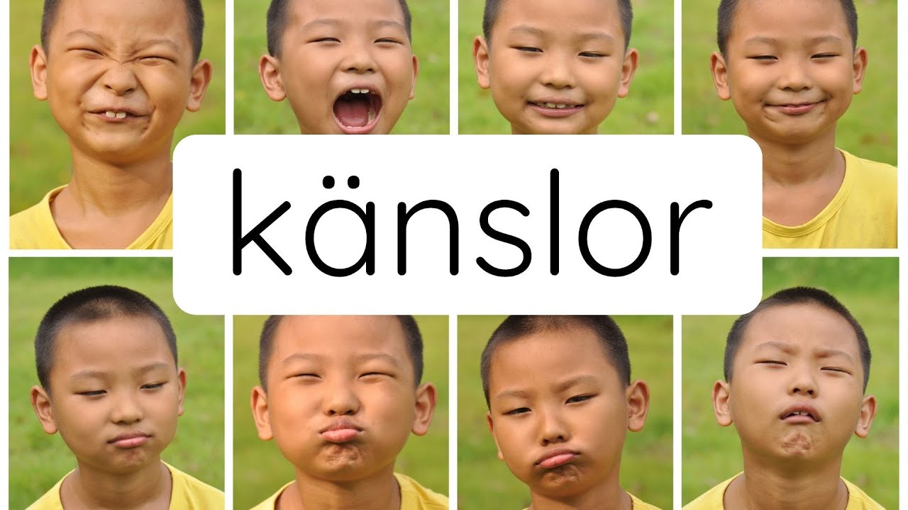 k&auml;nslor (sfi)