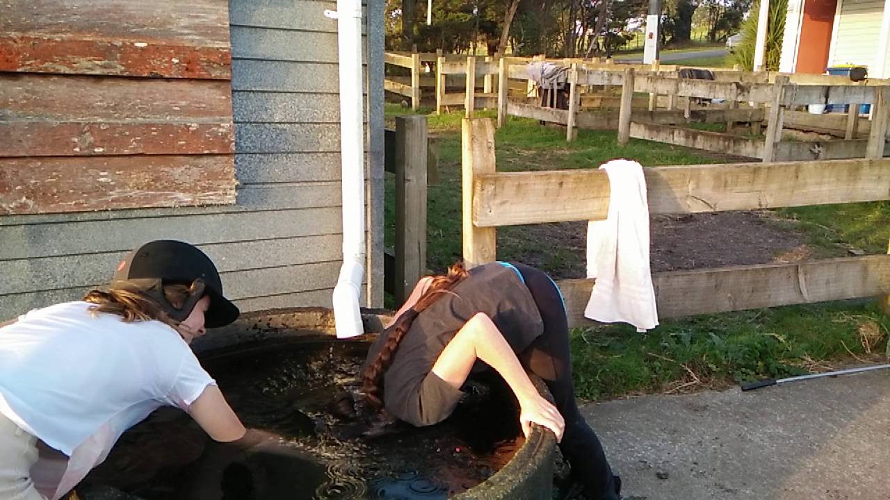 Slo mo head dunk in horse trough