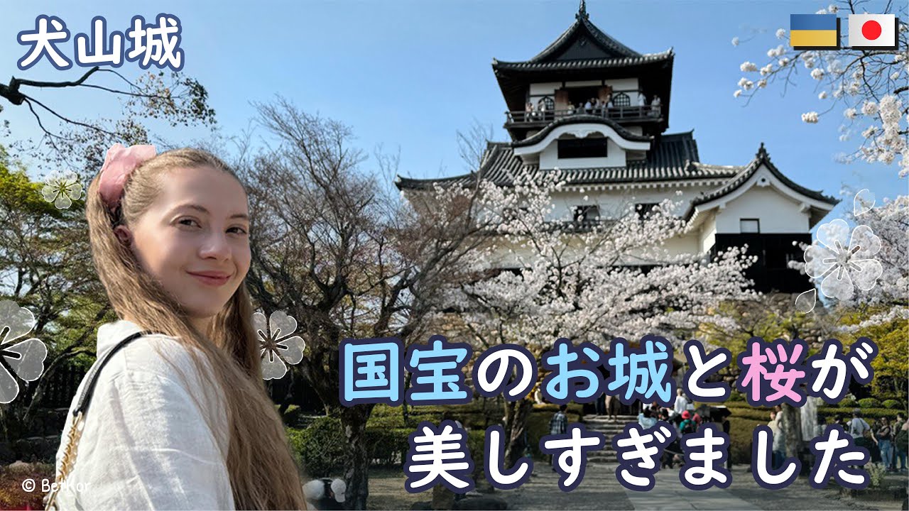 ウクライナ人が犬山祭りの幻想的な夜桜に感動！#犬山城 #桜
