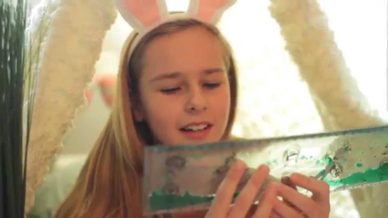 Find your Sensory Habitat at Fun and Function