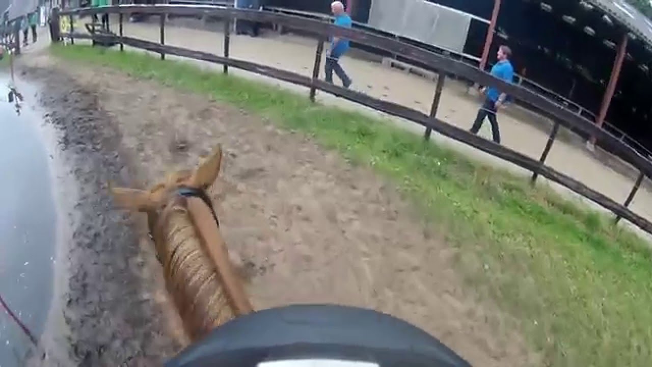 Stal 't Reelaer Cross 2015