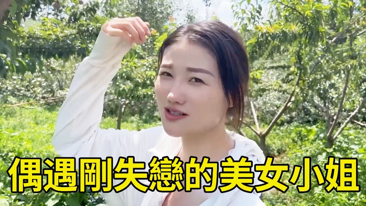 偶遇剛失戀的美女小姐，王一點用土味情話把她撩的合不攏嘴，還讓做上門女婿【王一點】