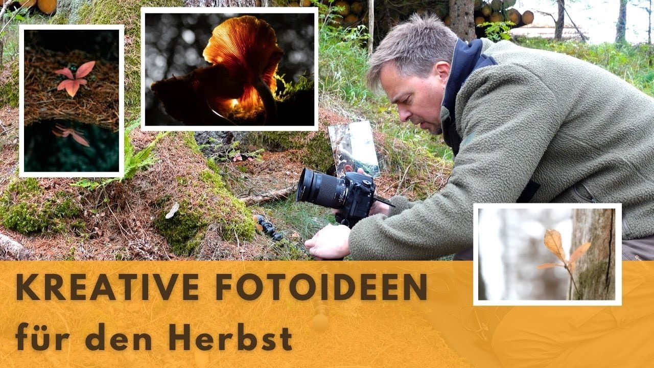 3 kreative Fotoideen für den Herbst
