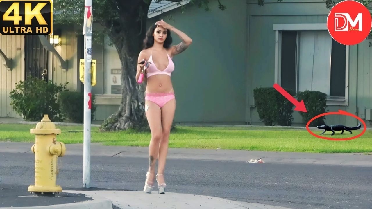 TOTAL IDIOTS AT WORK | Instant Regret Fails Compilation 2026 #529 Best Of The Week