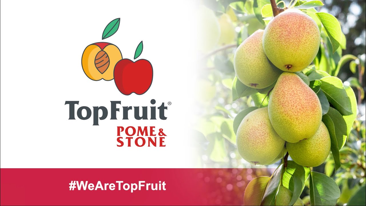 TopFruit - TP 15-41/Eden Gold&trade; pear