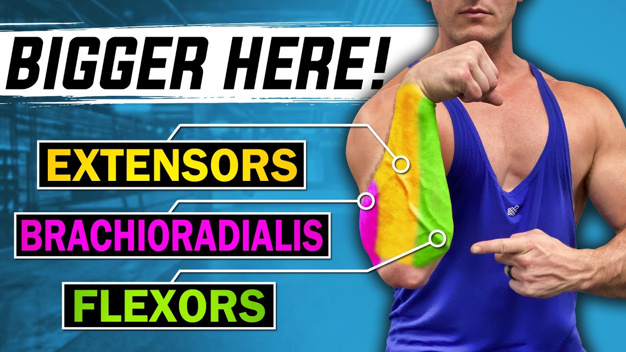 Forearms: The ONLY THREE Exercises You Need For Growth! (+Bonus 