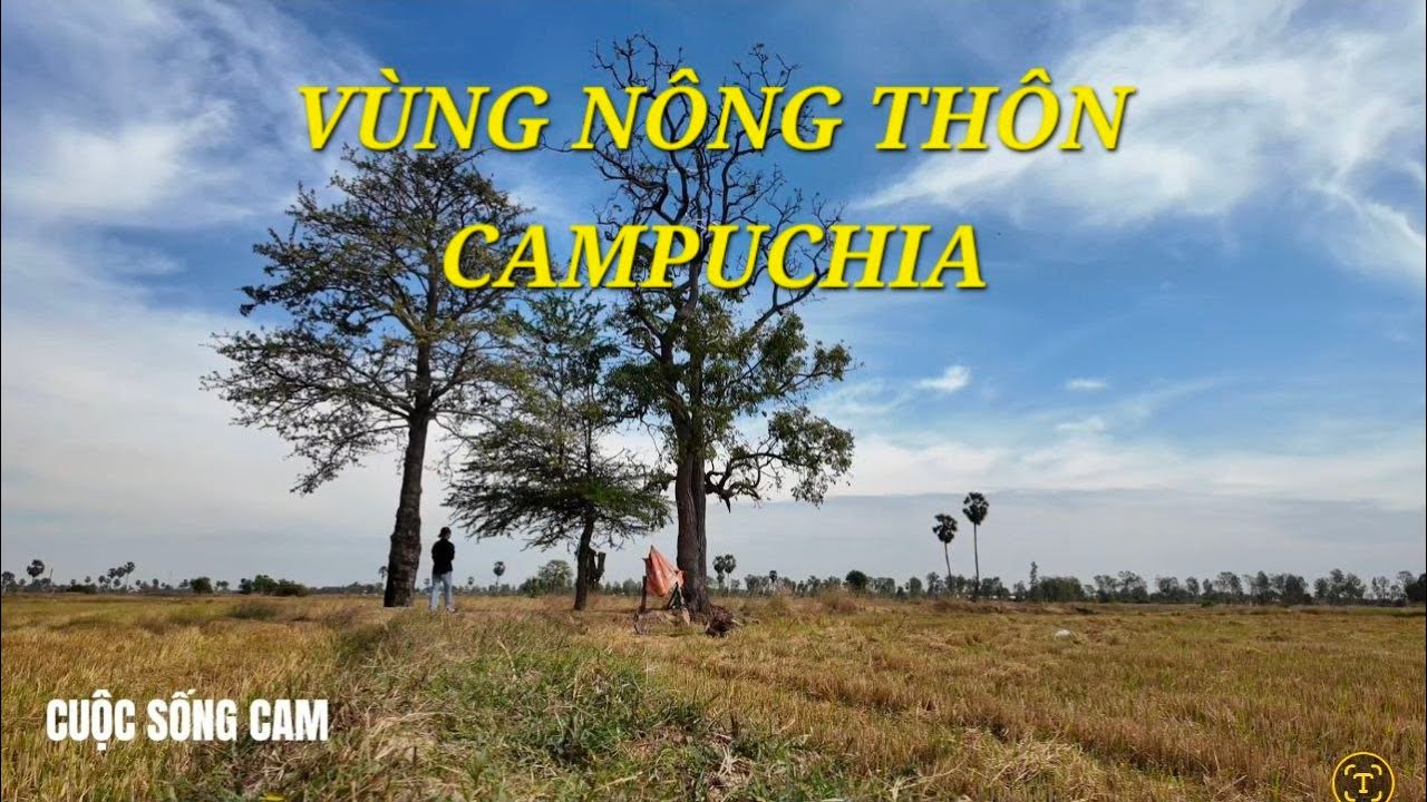 VÙNG NÔNG THÔN CAMPUCHIA|CUỘC SỐNG CAM