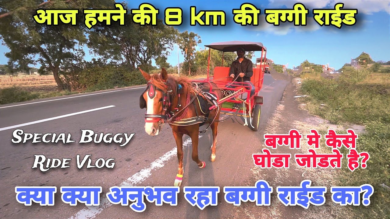 कैसे रही आज की बग्गी राईड भिमथडी घोडी सिद्धी के साथ।। Horse long Buggy Ride With Sidhhi | Buggy Ride