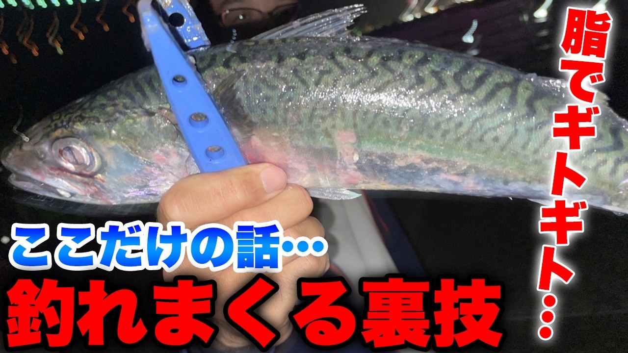 脂でギトギトの大サバが入れ食い状態、釣り初心者でも簡単に釣れる驚異の裏技を大公開。アジュール舞子、明石海峡大橋の下が最強のポイントです。