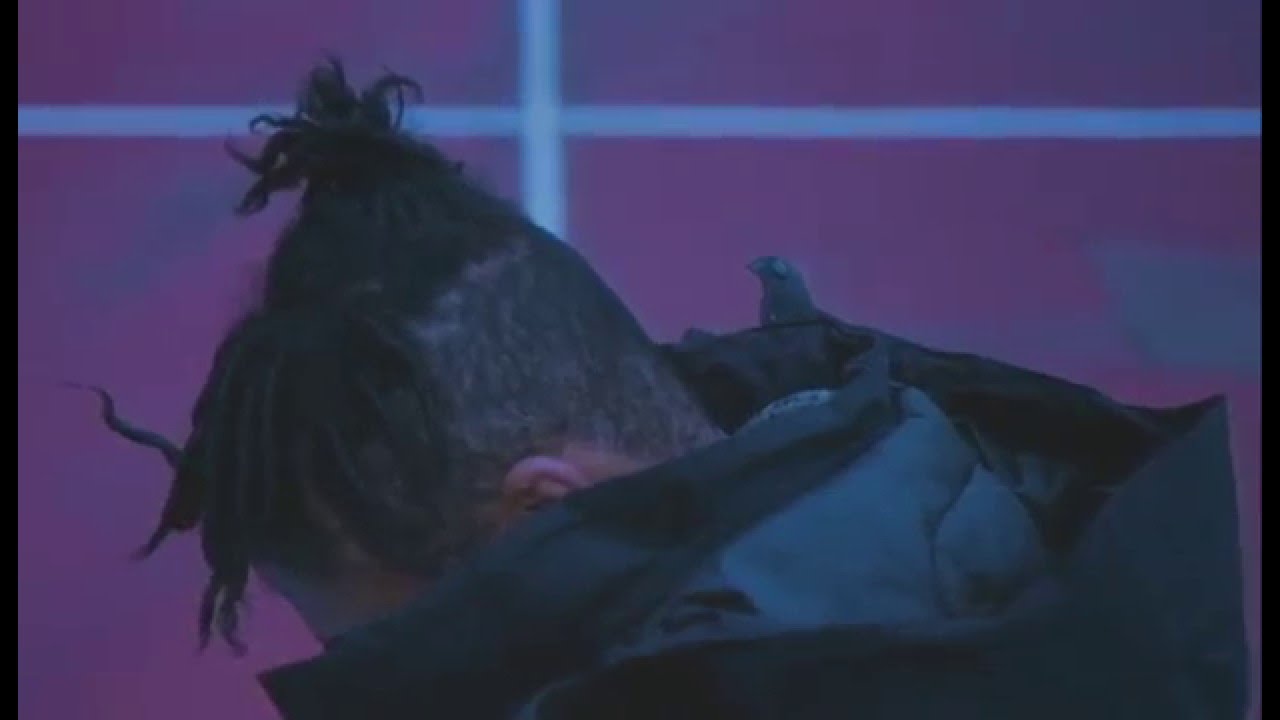 NO1 | ONLY1 (Official Video)