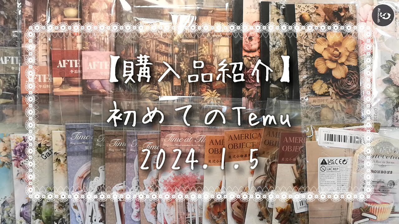 【購入品紹介】初めてのTemu 2024.1.5