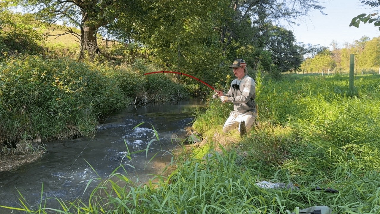 Fishing Hidden Countryside Streams!! What Can We Catch?